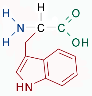 Tryptophan, an essential Amino ACID